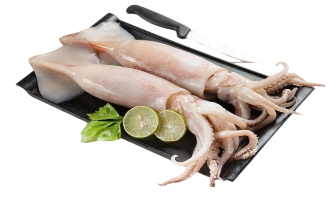 كلماري طازج (حبار)